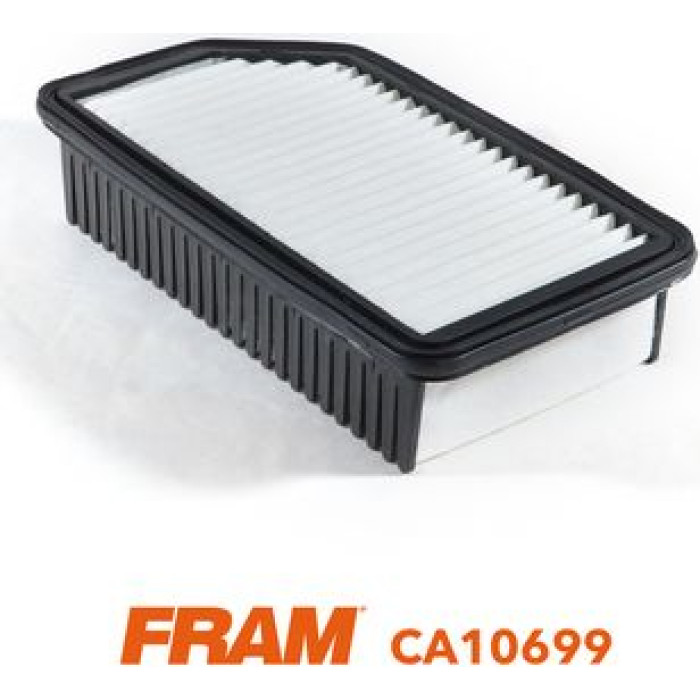 FRAM Luftfilter CA10699