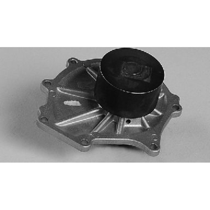 HEPU Wasserpumpe / Kühlmittelpumpe P7981 HEPU Wasserpumpe / Kühlmittelpumpe P7981