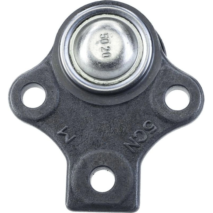 Sachs Traggelenk 10161 07 – beidseitig