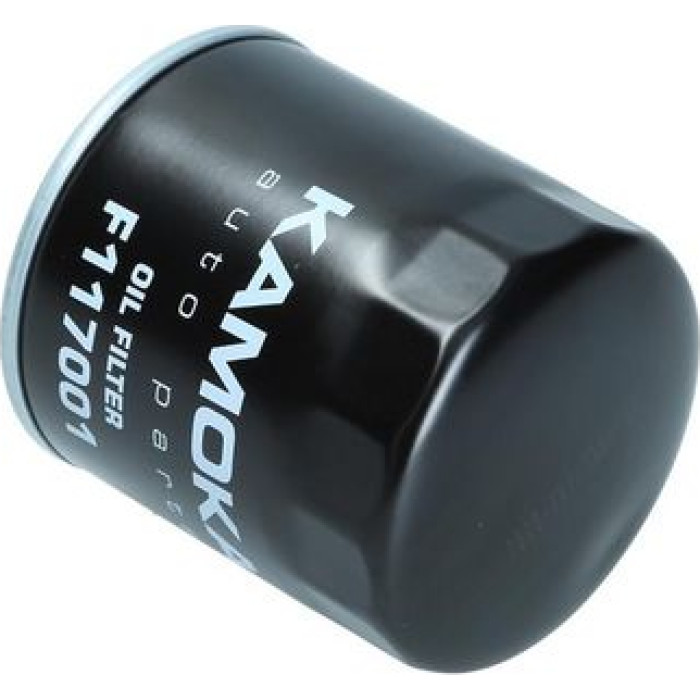 F117001 Kamoka Ölfilter F117001 F117001 Kamoka Ölfilter F117001
