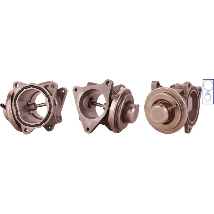DRI AGR-Ventil 717710018 pneumatisch mit Dichtungen