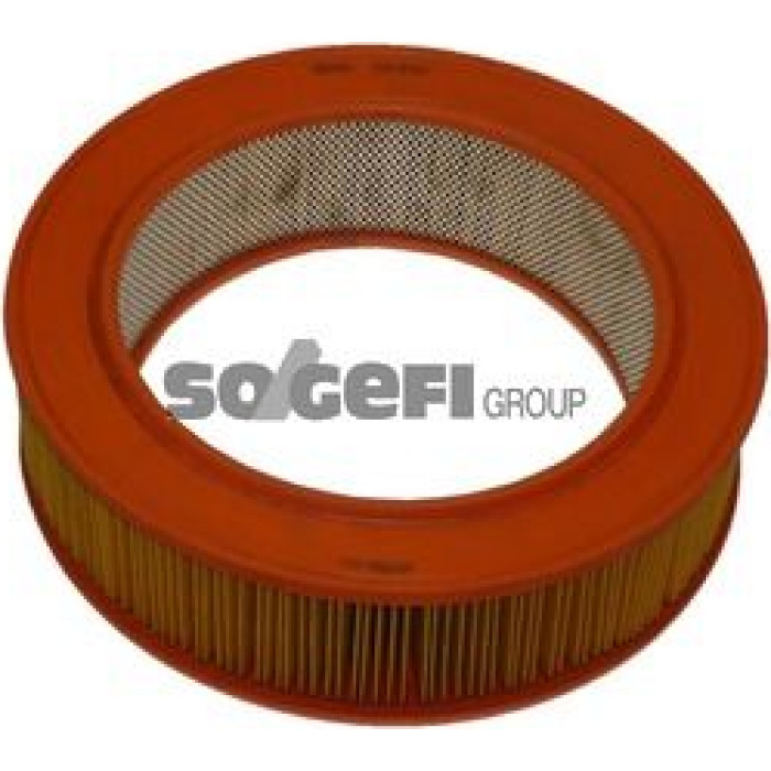 FRAM Luftfilter CA3159 FRAM Luftfilter CA3159