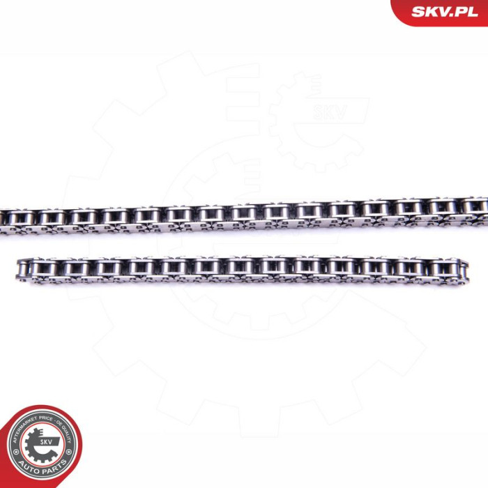 21SKV209 ESEN SKV Steuerkettensatz 21SKV209 21SKV209 ESEN SKV Steuerkettensatz 21SKV209