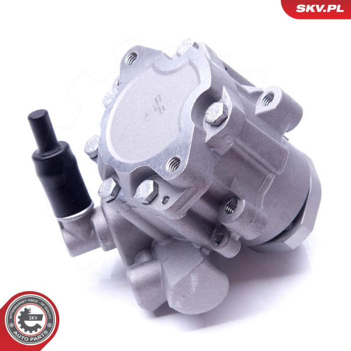 10SKV282 SKV GERMANY Hydraulikpumpe 10SKV282