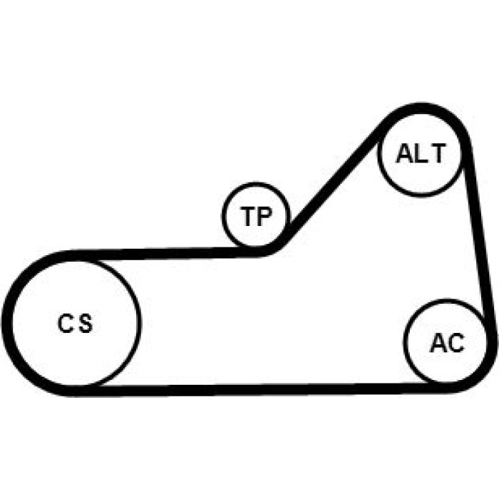 Continental CTAM Timing-Kit 6PK1153WP2 Continental CTAM Timing-Kit 6PK1153WP2