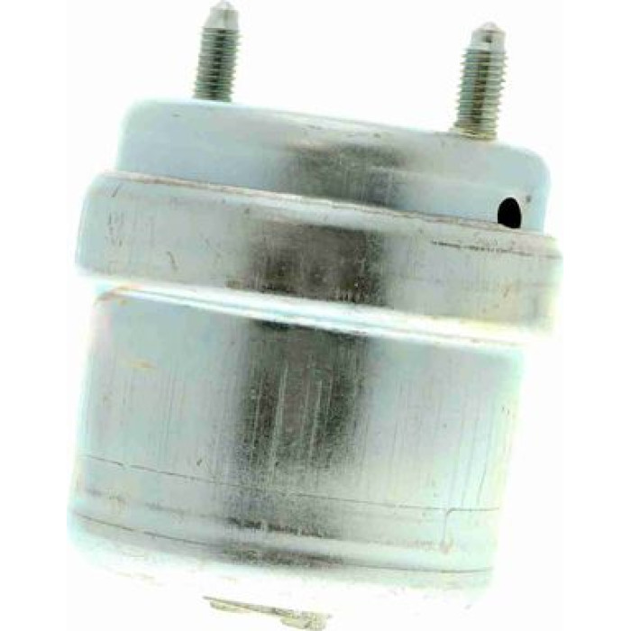 V10-8209 Vaico Motorlager V10-8209