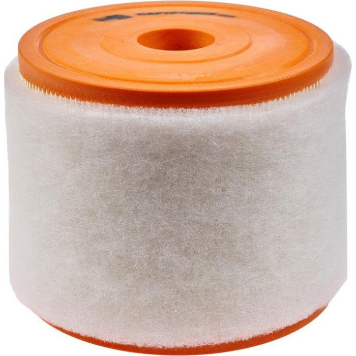 Champion Luftfilter CAF101081R Champion Luftfilter CAF101081R