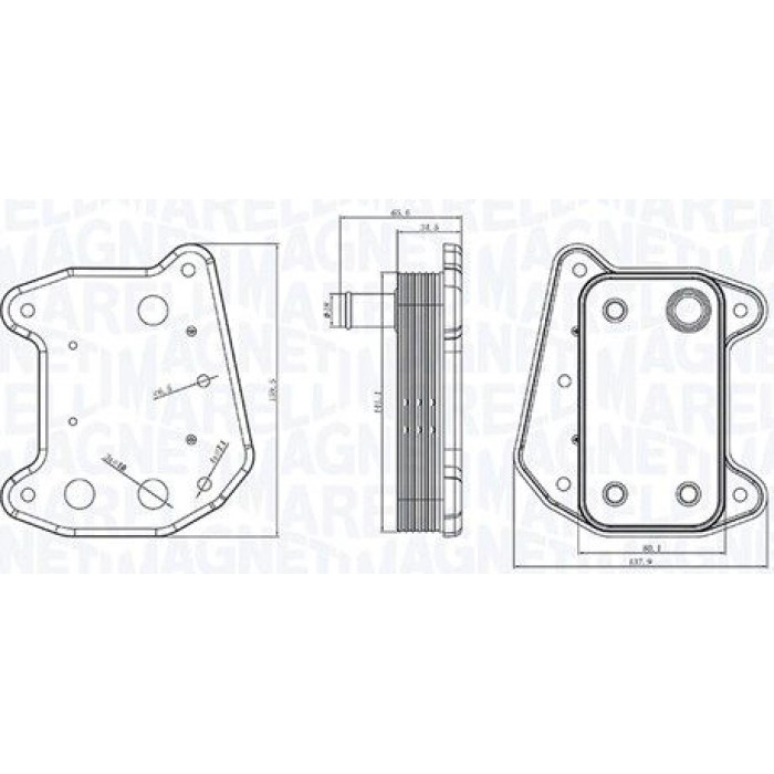 Magneti Marelli Ölkühler 350300001700 - Motoröl Kühler ÖL