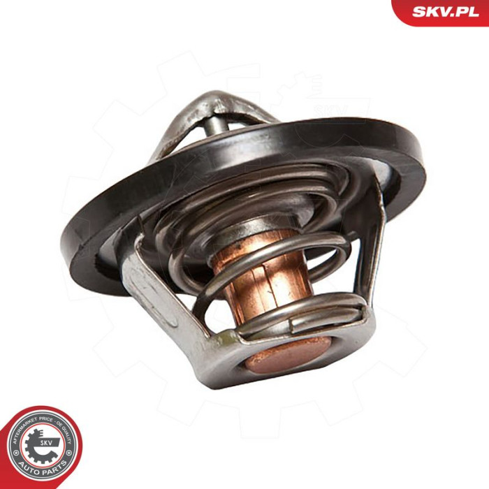 20SKV015 SKV GERMANY Thermostat 20SKV015 20SKV015 SKV GERMANY Thermostat 20SKV015