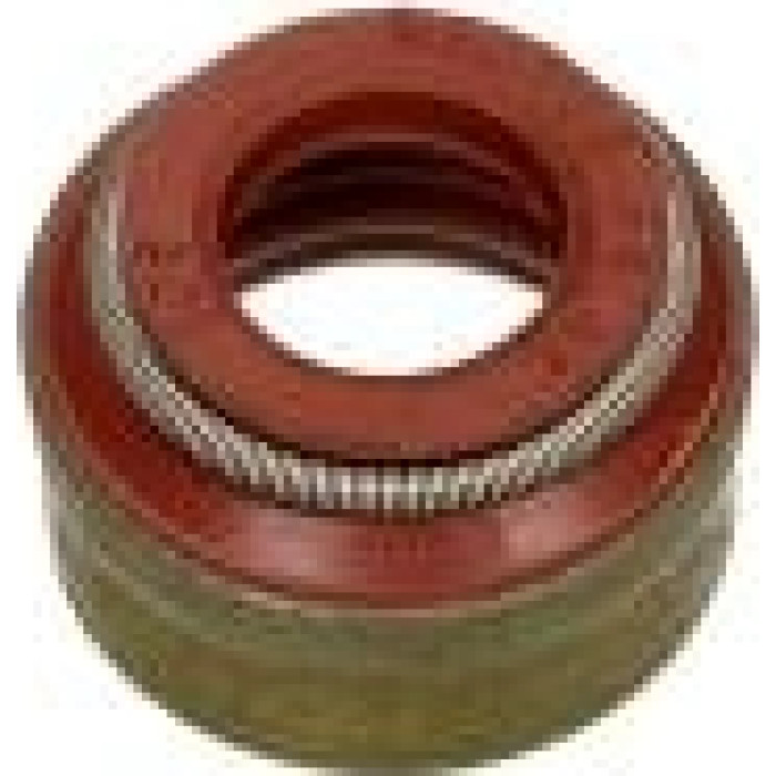 70-29491-00 Reinz Ventilschaftdichtung(4-32x/Motor) 70-29491-00