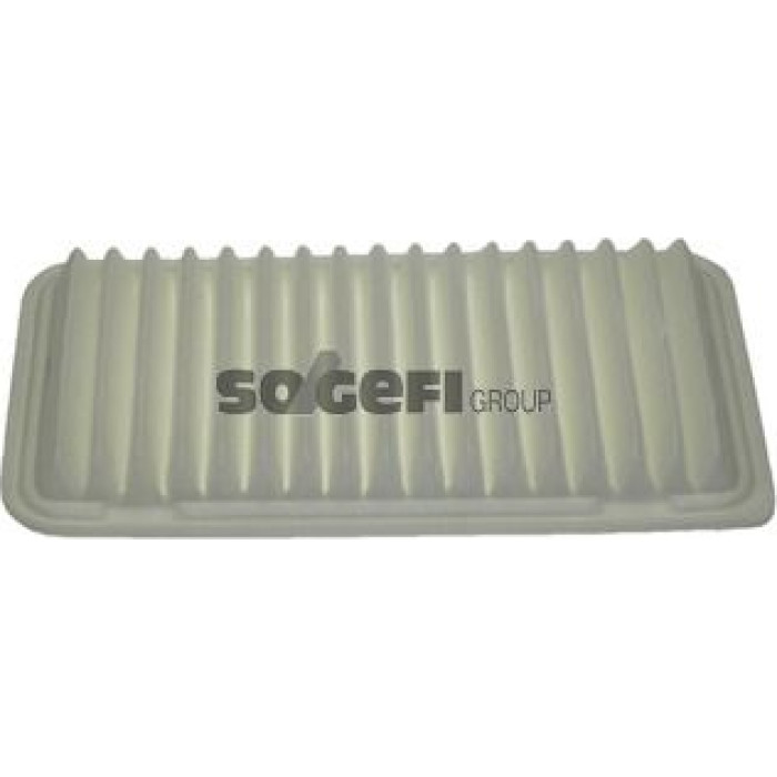 FRAM Luftfilter CA10495