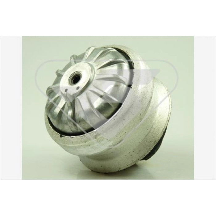 597007 HUTCHINSON Lagerung, Motor 597007 597007 HUTCHINSON Lagerung, Motor 597007