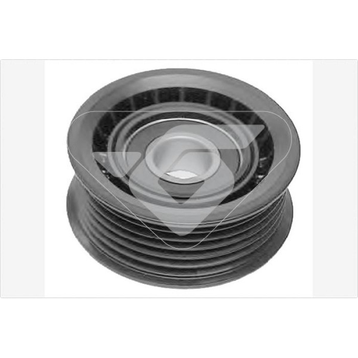 HUTCHINSON Umlenk-/Führungsrolle, Keilrippenriemen T0045