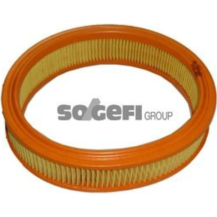 FRAM Luftfilter CA3121 FRAM Luftfilter CA3121