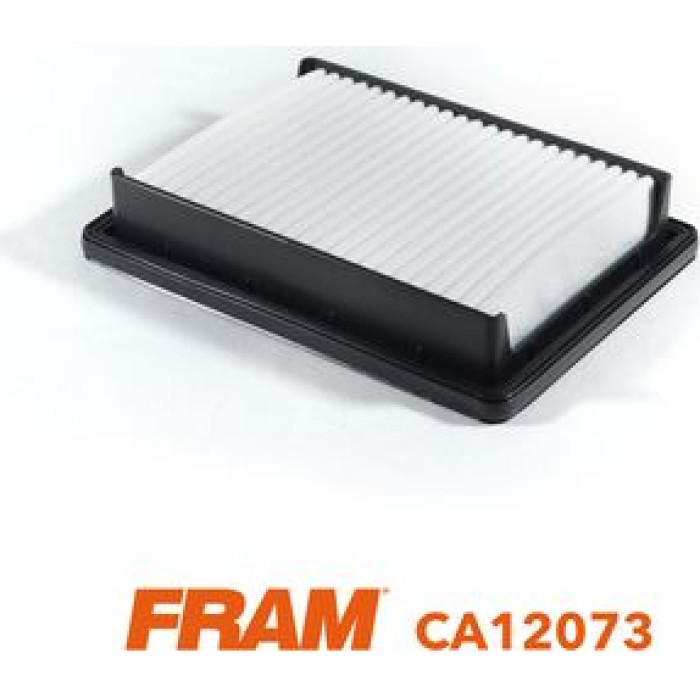 FRAM Luftfilter CA12073