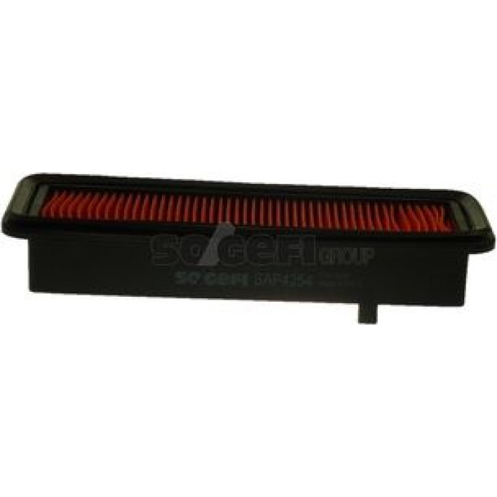 FRAM Luftfilter CA11738