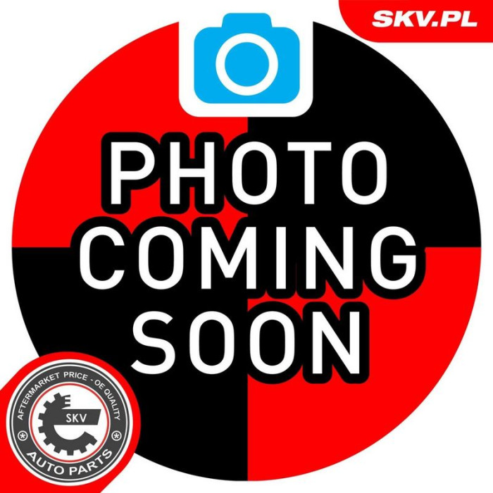 SKV GERMANY Lenkstift 04SKV333 SKV GERMANY Lenkstift 04SKV333