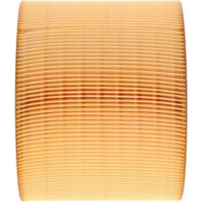 Bosch Luftfilter 1457433590