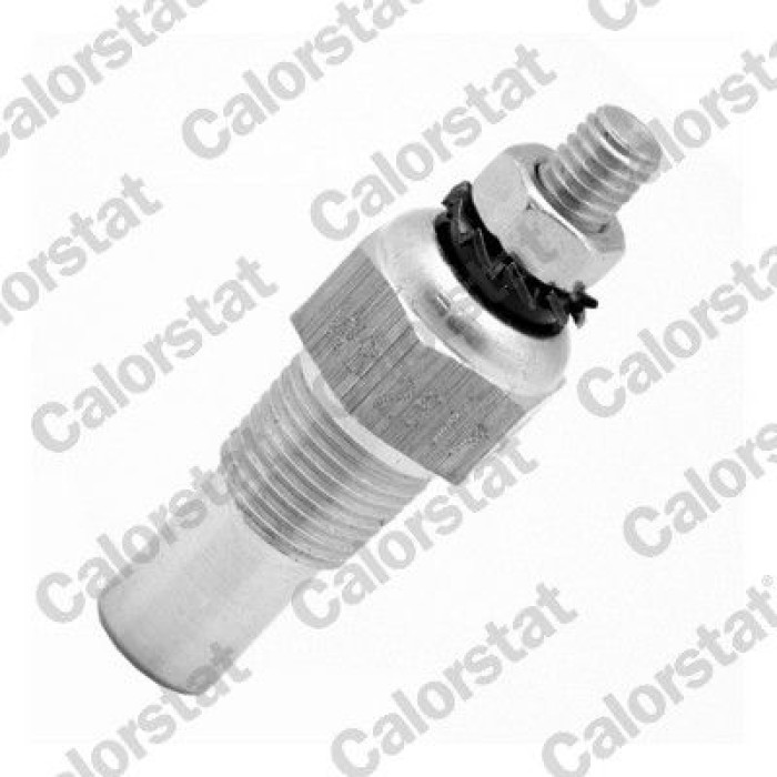 WS2517 Kühlmitteltemperatur-Sensor