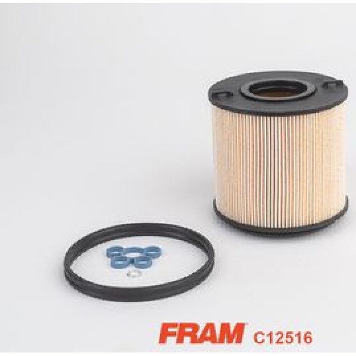 FRAM Kraftstofffilter C12516