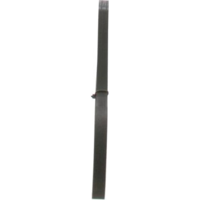 Bosch Keilrippenriemen 1987947856 Bosch Keilrippenriemen 1987947856