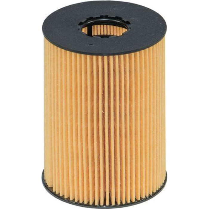 OE 669/1 Filtron Ölfilter OE 669/1 OE 669/1 Filtron Ölfilter OE 669/1