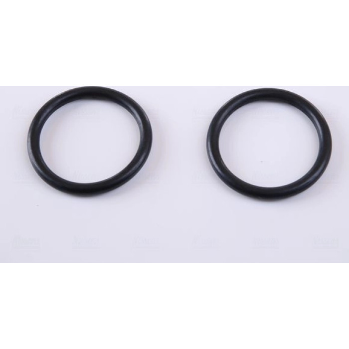 Nissens Wasserkühler PKW 60301A