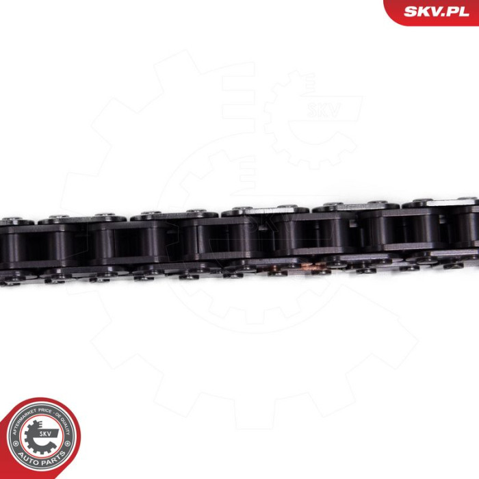 21SKV258 ESEN SKV Steuerkettensatz 21SKV258 21SKV258 ESEN SKV Steuerkettensatz 21SKV258