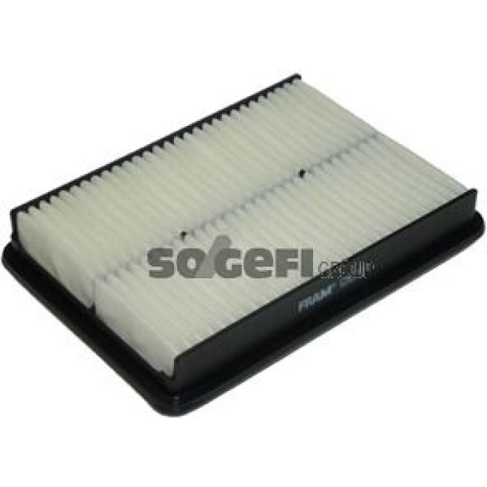 FRAM Luftfilter CA11110