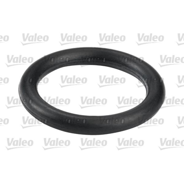 Valeo Kraftstofffilter 587557 Valeo Kraftstofffilter 587557