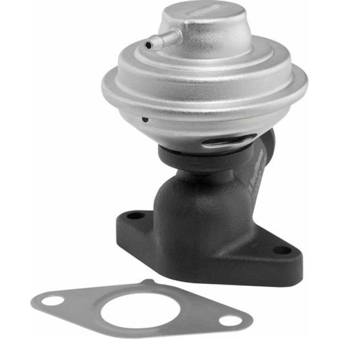 BorgWarner (Wahler) AGR-Ventil 712090D