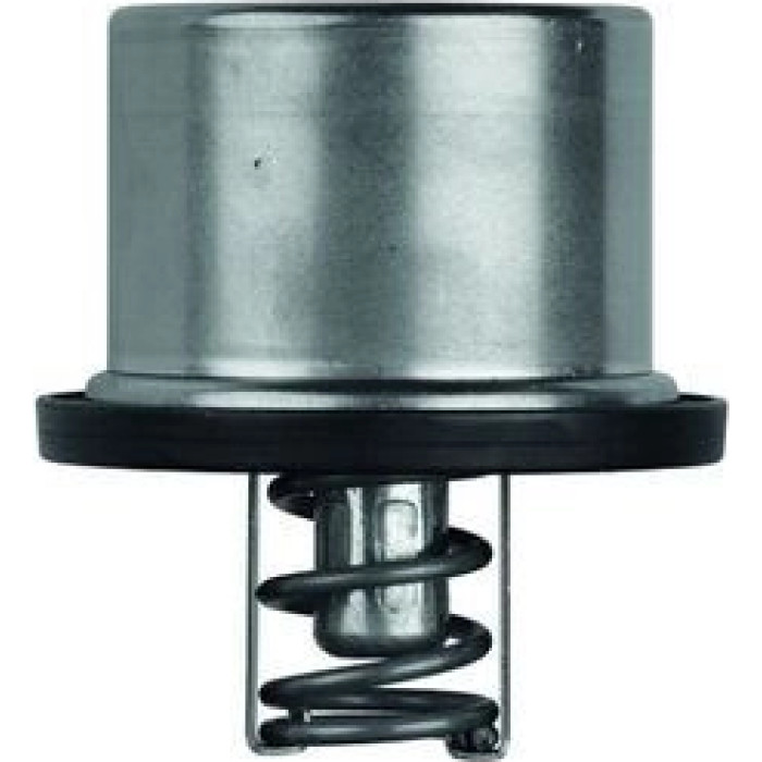 Thermostateinsatz TX 37 79 Thermostateinsatz TX 37 79