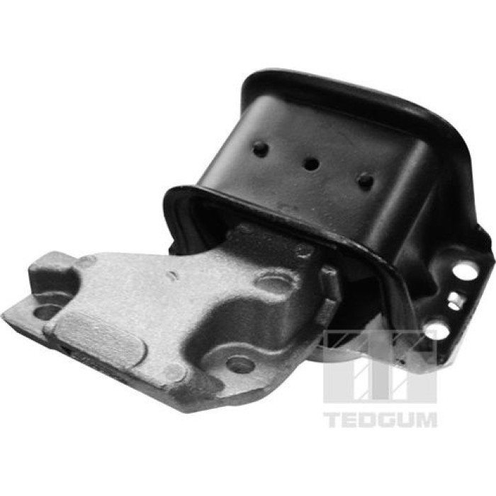 TEDGUM Motorlagerhalter 00511756 TEDGUM Motorlagerhalter 00511756