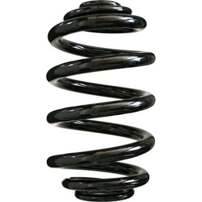 Spidan Fahrwerksfeder 85549 - Hinterachse Spidan Fahrwerksfeder 85549 - Hinterachse