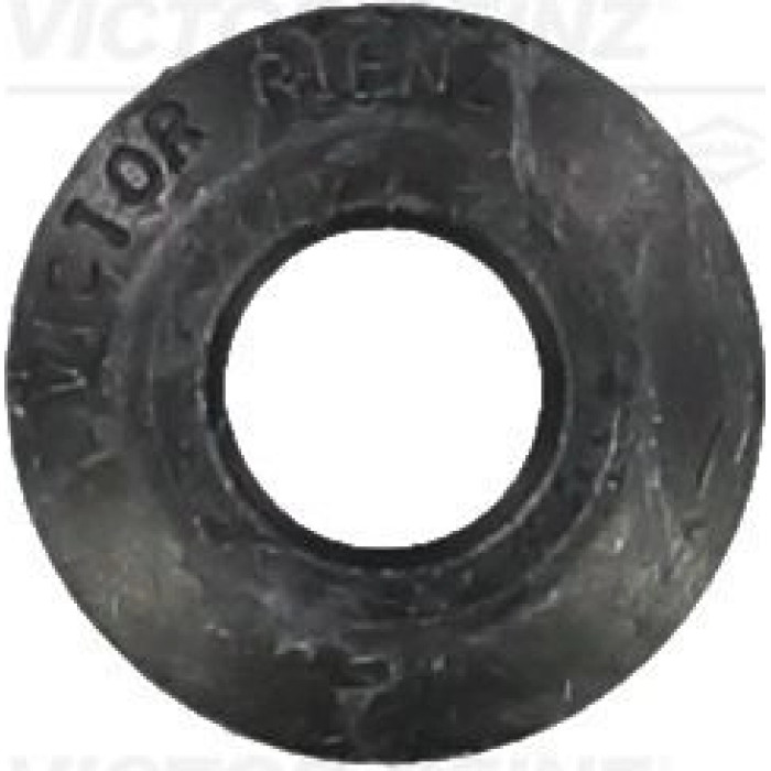 70-33589-00 Reinz Ventilschaftdichtung(8x/Motor) 70-33589-00