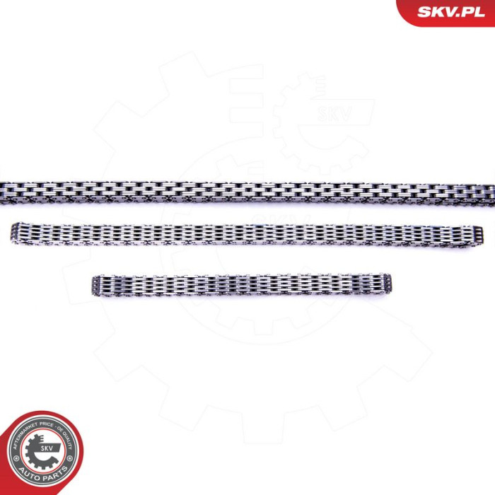 21SKV163 ESEN SKV Steuerkettensatz 21SKV163 21SKV163 ESEN SKV Steuerkettensatz 21SKV163