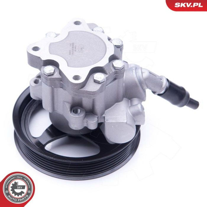 10SKV266 SKV GERMANY Hydraulikpumpe 10SKV266 10SKV266 SKV GERMANY Hydraulikpumpe 10SKV266