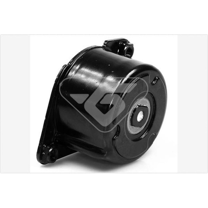 HUTCHINSON Spannrolle, Keilrippenriemen T0062 HUTCHINSON Spannrolle, Keilrippenriemen T0062