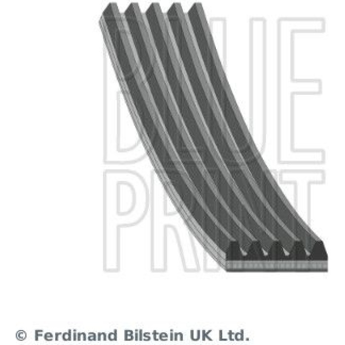 BluePrint Rillenriemen AD05R1789 BluePrint Rillenriemen AD05R1789