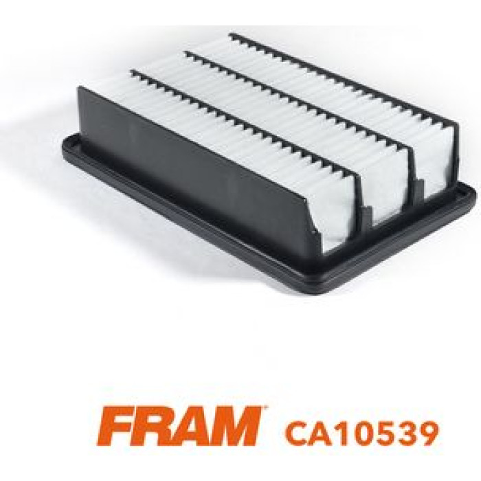 FRAM Luftfilter CA10539