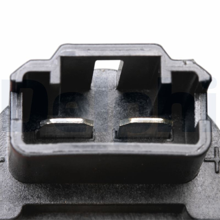 Delphi Kraftstoffpumpe FE0545-12B1 Delphi Kraftstoffpumpe FE0545-12B1