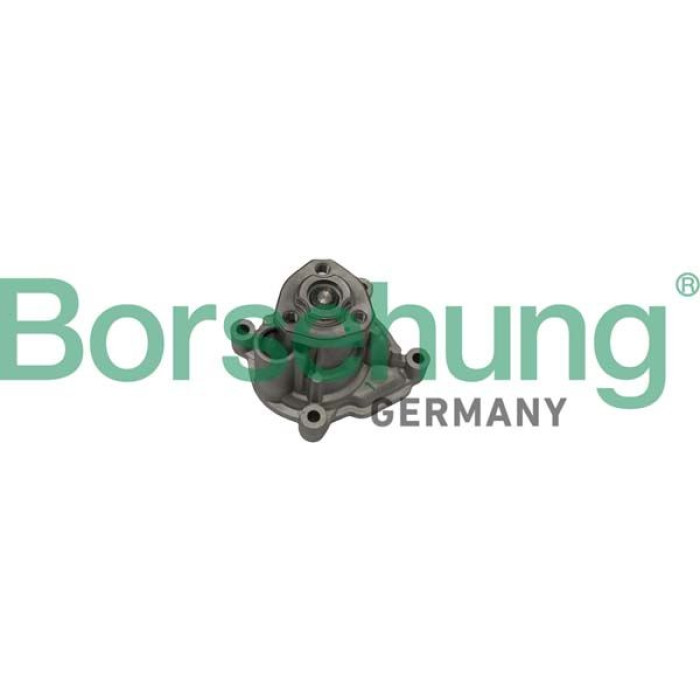 B12696 BORSEHUNG Wasserpumpe B12696