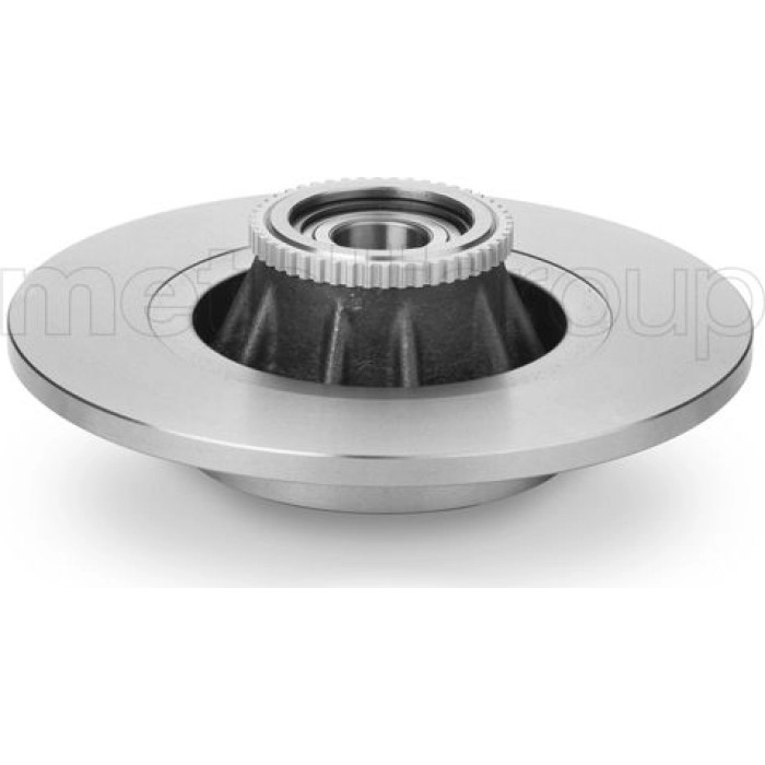 Cifam Bremsscheibe Hinterachse mit Radlager 800-844 Cifam Bremsscheibe Hinterachse mit Radlager 800-844