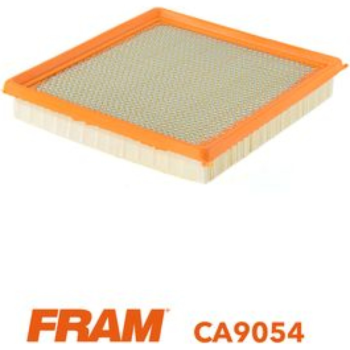 FRAM Luftfilter CA9054