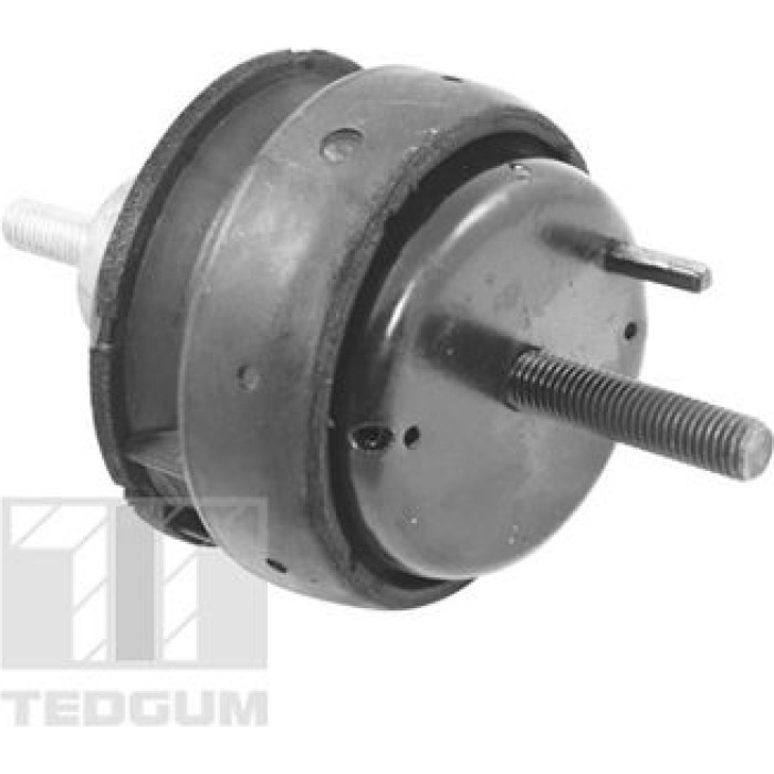 TEDGUM Motorlagerhalter 00221186 TEDGUM Motorlagerhalter 00221186