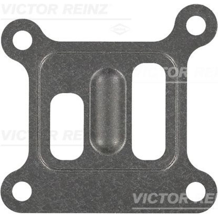 Reinz Wasserpumpendichtung 70-36038-00