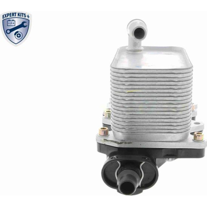 Vemo Motorölkühler V20-60-0046 Vemo Motorölkühler V20-60-0046