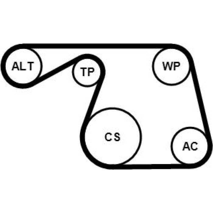 Continental CTAM Timing-Kit 6PK1310WP1 Continental CTAM Timing-Kit 6PK1310WP1