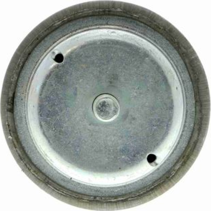 Vaico Motorlager V42-0005