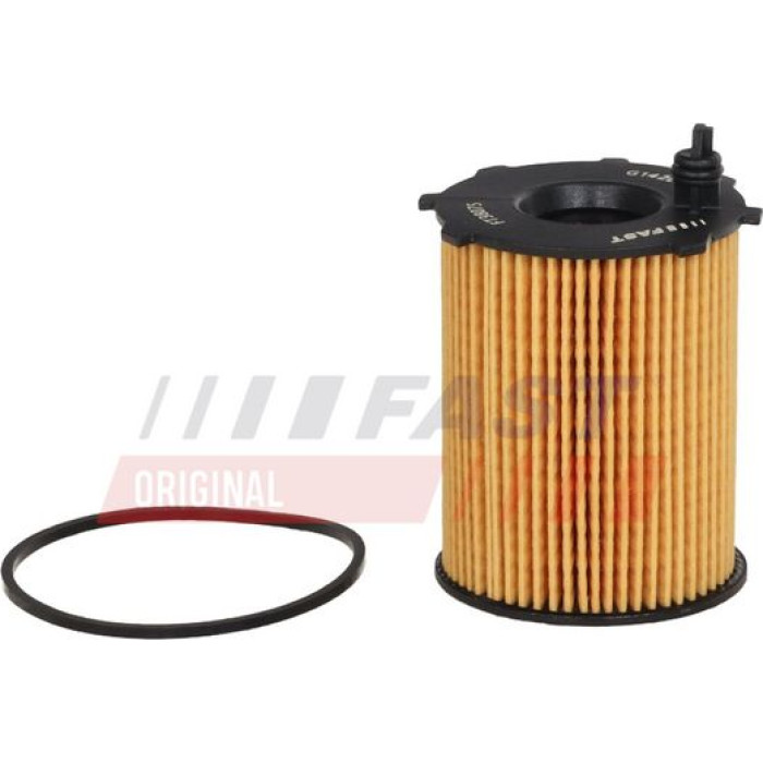 FT38075 FAST Ölfilter FT38075 FT38075 FAST Ölfilter FT38075